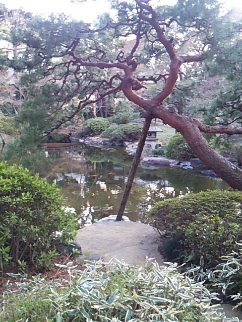 20170402 都庭園美庭園1.JPG